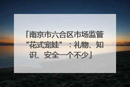 南京市六合区市场监管“花式宠娃”：礼物、知识、安全一个不少